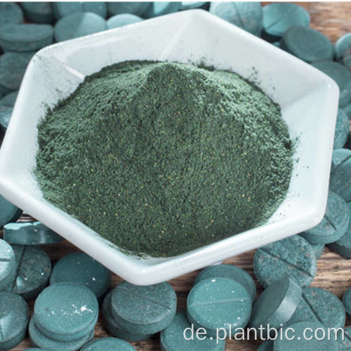 Reines Spirulina-Pulver in Bio-Lebensmittelqualität